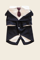 Roupinha tipo smoking