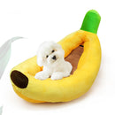 Caminha banana